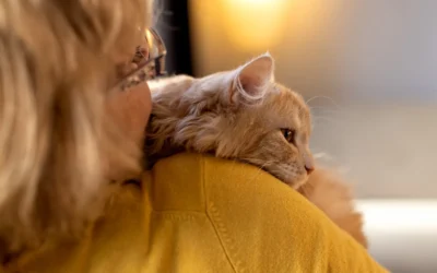 Cáncer en animales: prevención y apoyo al tratamiento