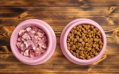 Enfermedad y Nutrición