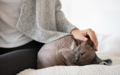 Peritonitis infecciosa felina